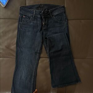Hudson Jeans Dark Flare Denim